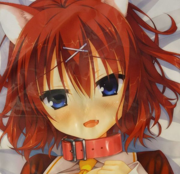 ゆずソフト 天色*アイルノーツ ガイヤール 抱き枕カバー