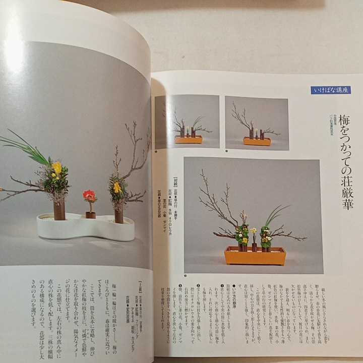 1周年記念イベントが 園芸ガイド 2003年 10月号 12月号 2冊セット