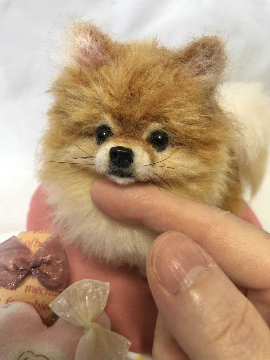 羊毛フェルト ふわふわポメラニアン 送料無料 てりゃ