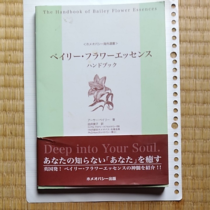ベイリーフラワーエッセンス ハンドブック／アーサーベイリー (著者) 由井寅子 (訳者)