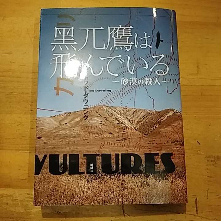 トッド・ダウニング 黒兀鷹は飛んでいる 砂漠の殺人 綺想社 初版_画像1