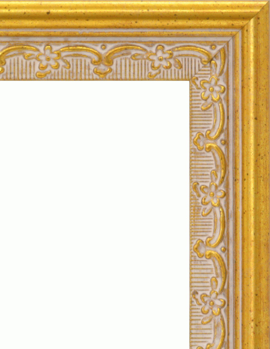 OA picture frame poster panel resin made frame acrylic fiber specification 8227 B5 size Gold 