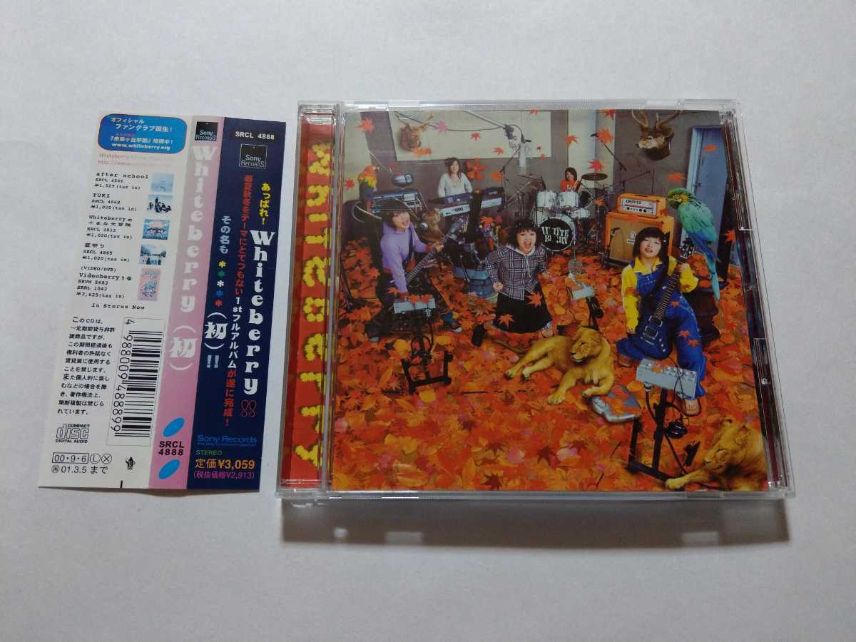 Cd Whiteberry ホワイトベリー 初 ほ Cd Whiteberry ホワイトベリー 初 ほ