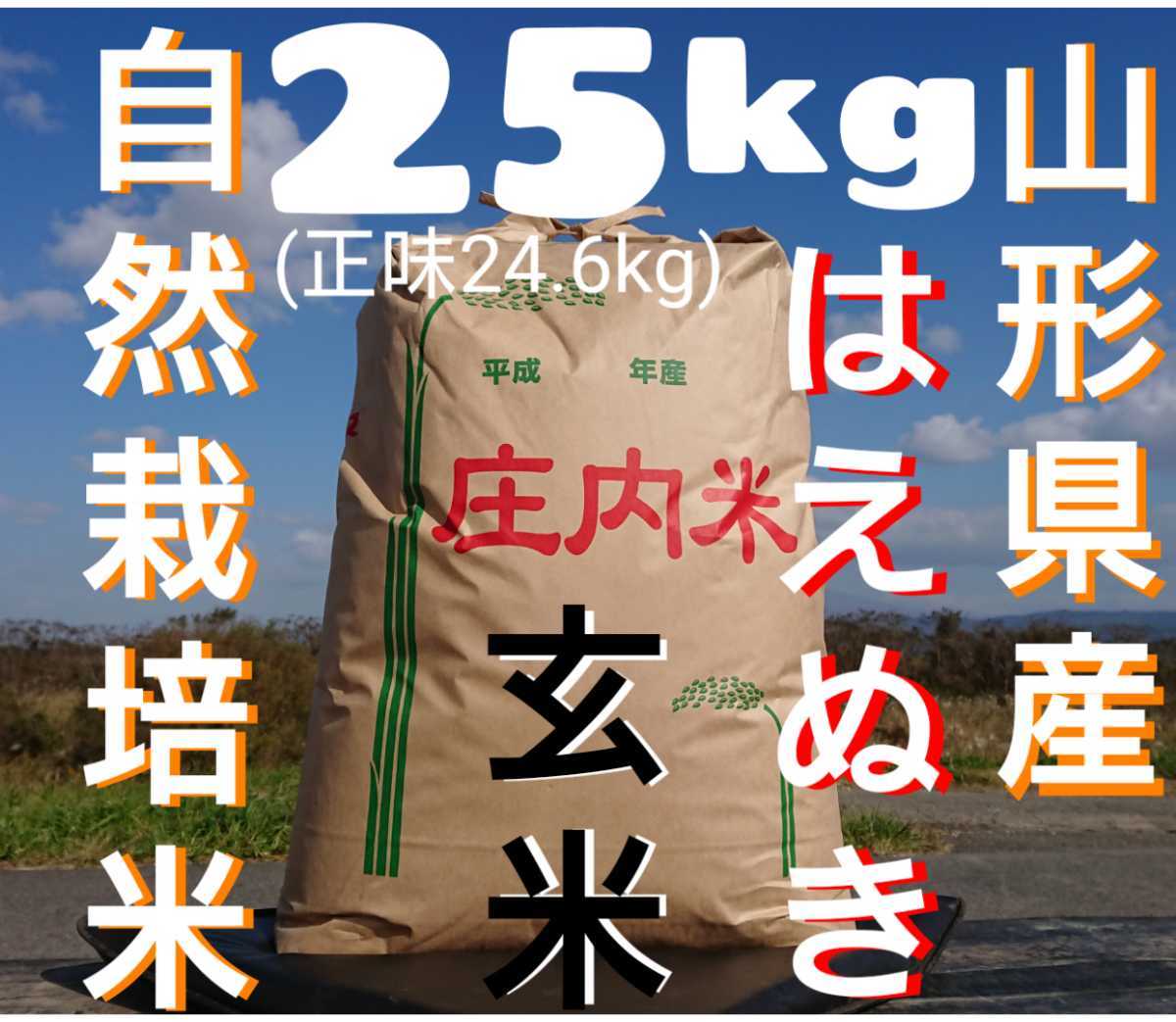 自然栽培 無農薬 無施肥 氷温熟成 はえぬき令和3年産 山形県産 庄内米