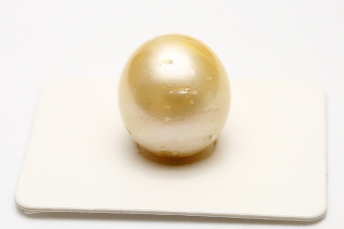 限定モデル 南洋白蝶真珠パールルース 両穴 11mm ナチュラルゴールド