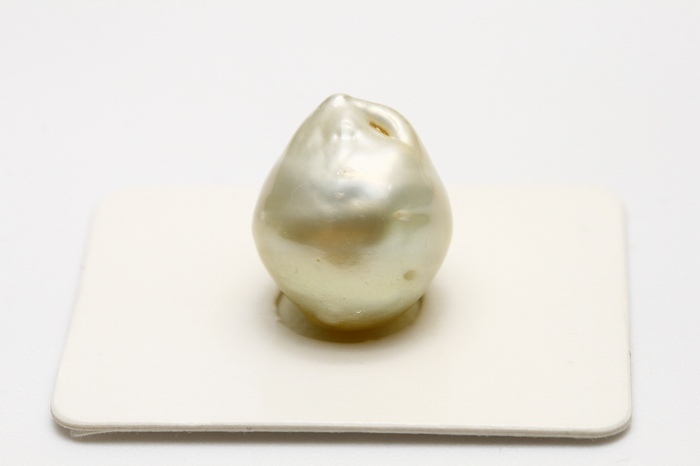 南洋白蝶真珠パールルース　16×13mm　グリーンカラー_画像1