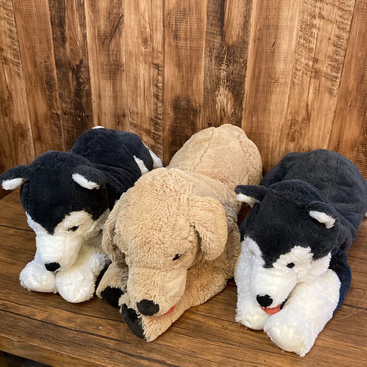 Ikea イケア Livlig ぬいぐるみ 犬 ゴールデンレトリバー ハスキー 3体セット M 0216 イヌ一般 売買されたオークション情報 Yahooの商品情報をアーカイブ公開 オークファン Aucfan Com Ikea イケア Livlig ぬいぐるみ 犬 ゴールデンレトリバー ハスキー 3体セット M 0216 イヌ一般 売買されたオークション情報 Yahooの商品情報をアーカイブ公開 オークファン Aucfan Com
