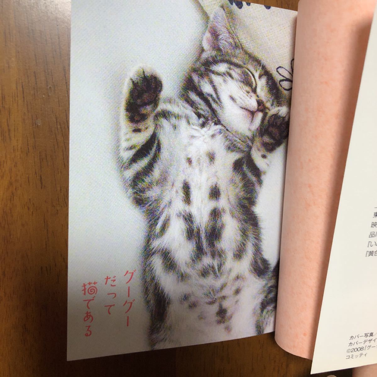 「グーグーだって猫である 小説版」/大島弓子 (著者) 犬童一心 (著者)「ネコを愛する理由」/吉武輝子