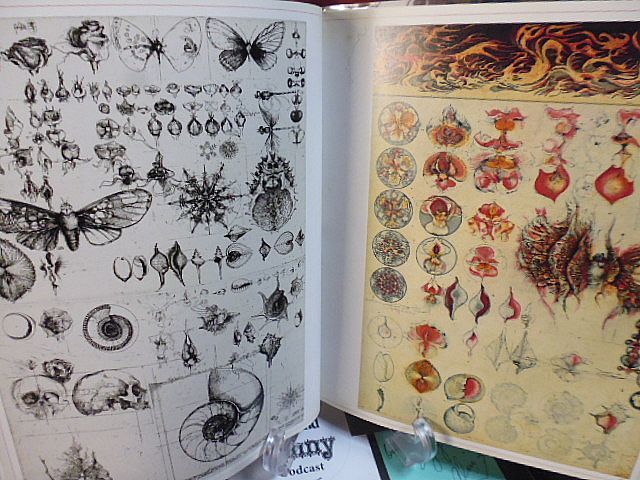 ヨルク・シュマイサー 銅版画作品集 幻想・エロス・始原への旅