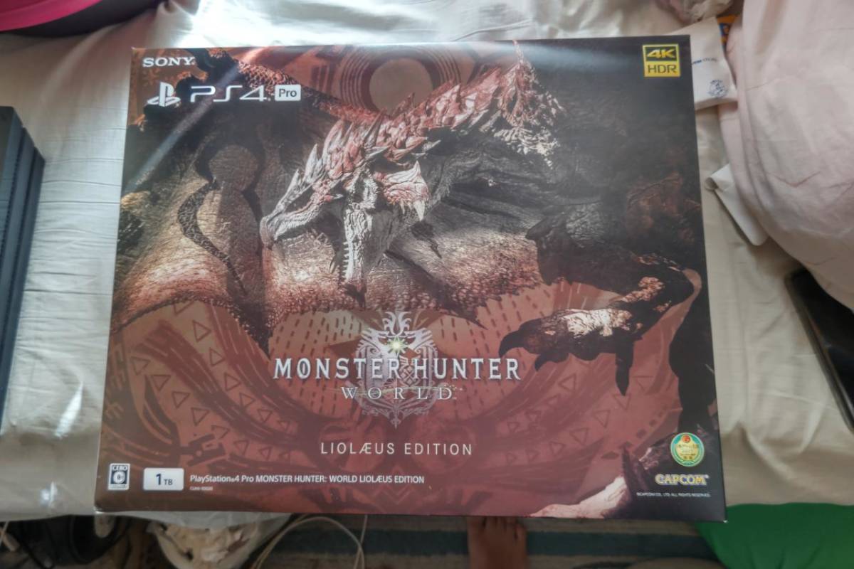 美品 PS4 Pro モンスターハンターワールド リオレウスエディション