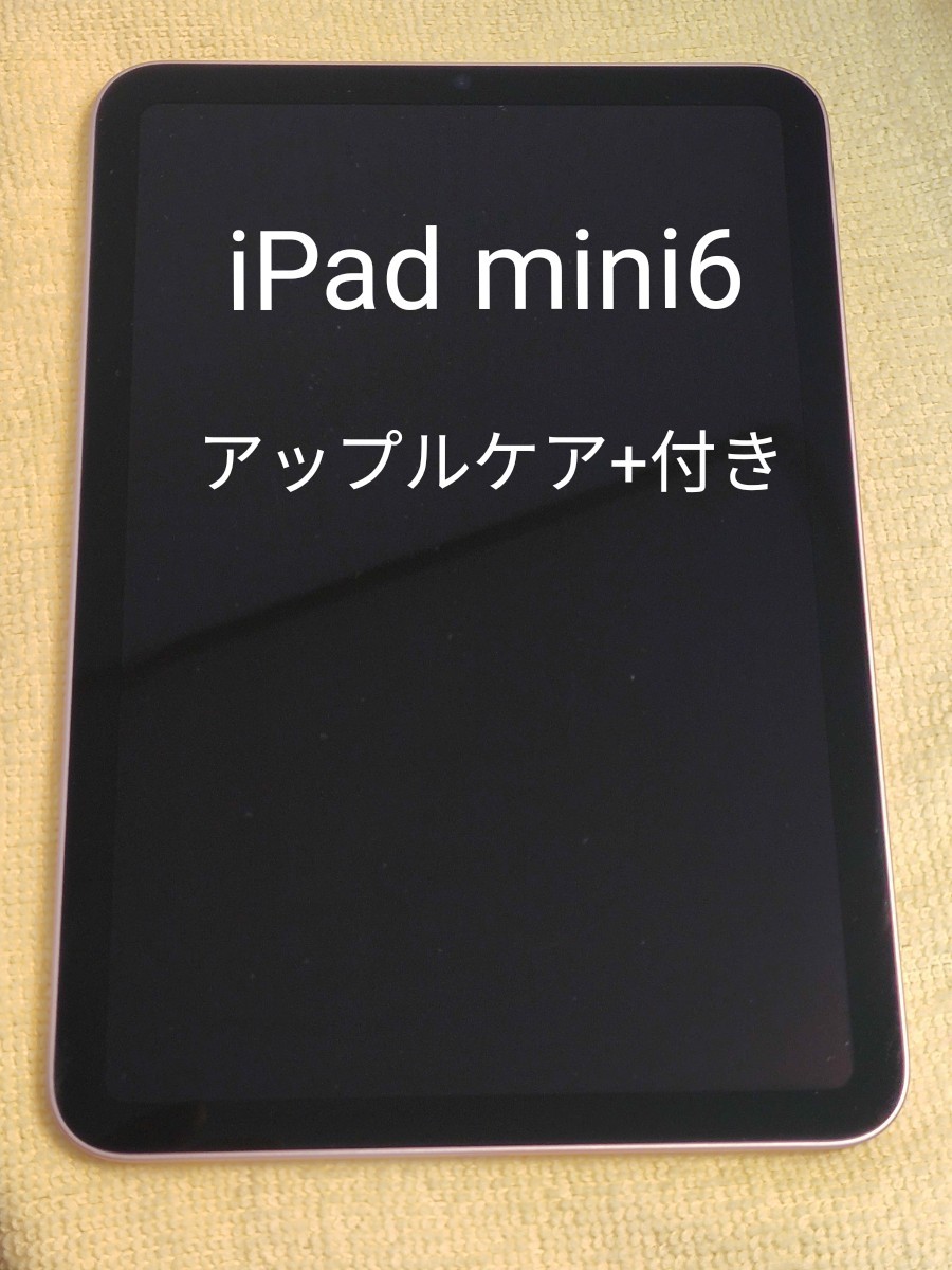 【スキンシー】 iPad - iPad mini6の64GB wifiモデルの通販 by ろたんど's shop｜アイパッドならラクマ はペーパー