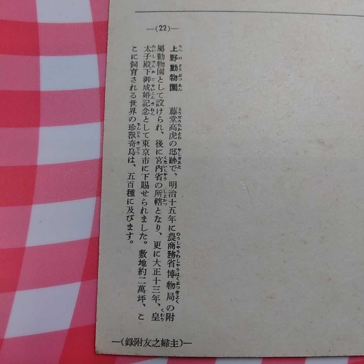 ◎昭和７年1932年　昭和はがき　　戦前絵はがき　上野恩賜公園動物園　上野動物園_画像5