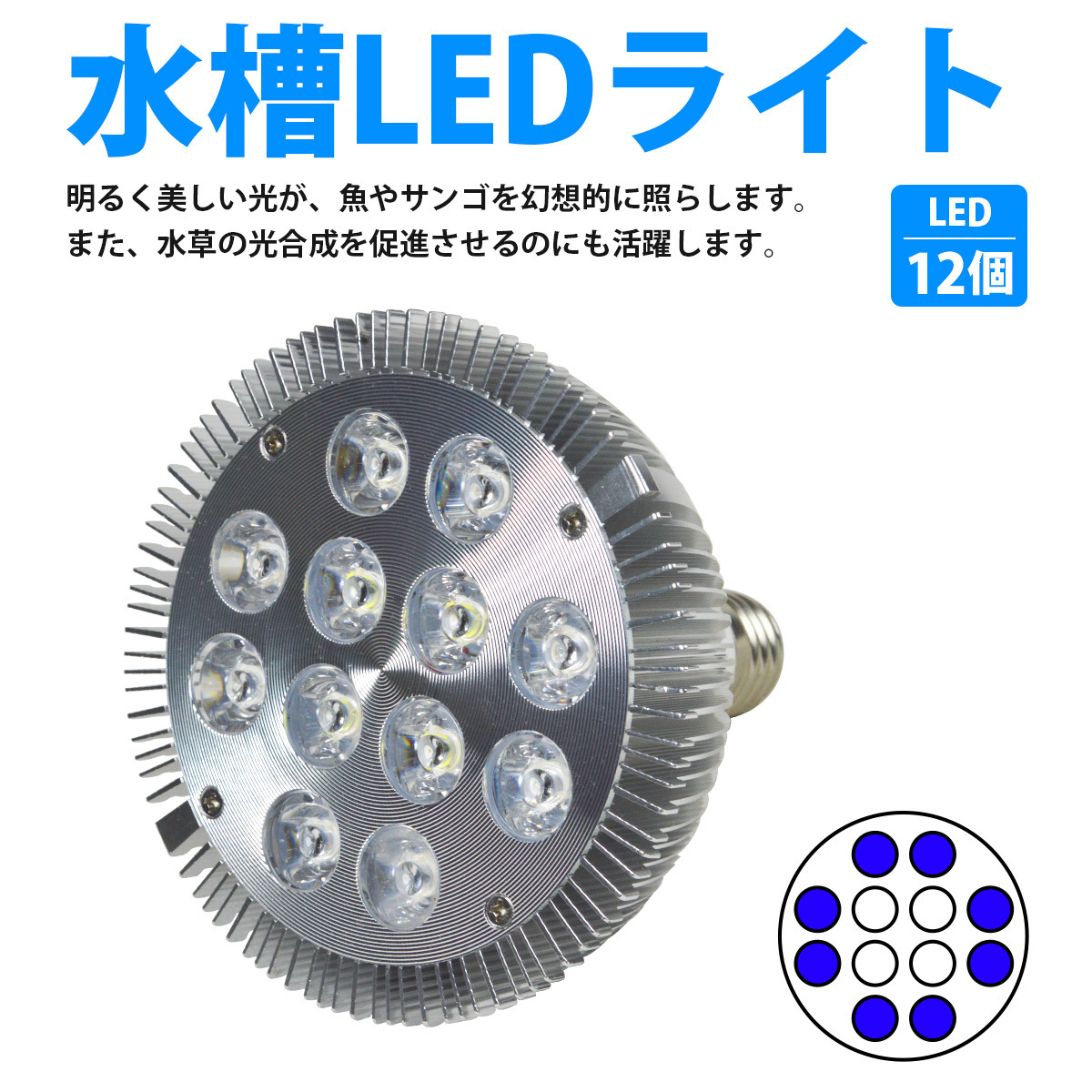 LED 電球 スポットライト 24W 2W×12 青8白4灯 水槽 照明 電気 水草 熱帯魚 定番 観賞魚 サンゴ LEDスポットライト E26  植物育成