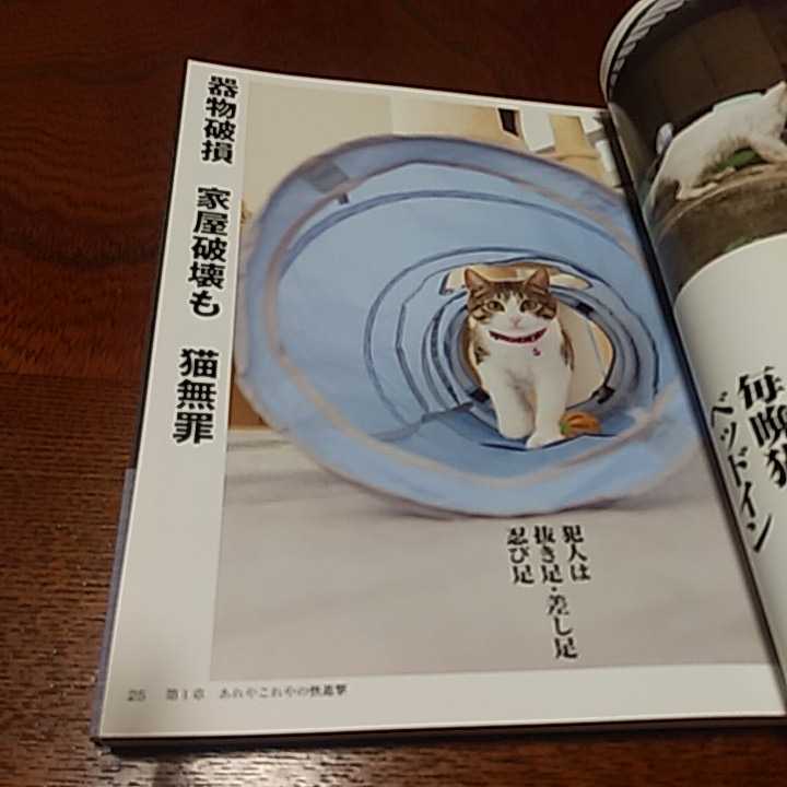 「猫川柳　進撃編」辰巳出版_画像5