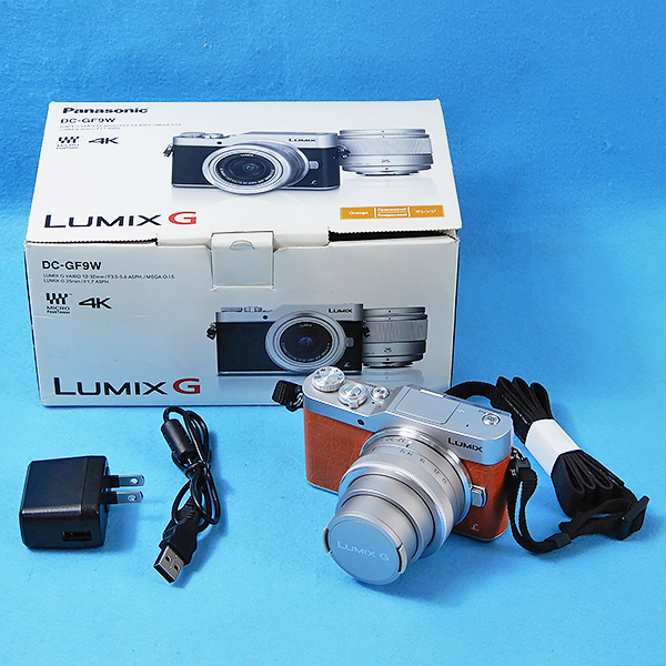 HOT特価】 Panasonic LUMIX GF9 ミラーレス一眼カメラ ダブルレンズ