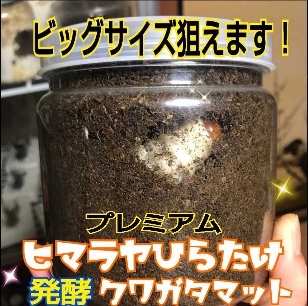 送料無料20L☆進化した！プレミアム3次発酵クワガタマット☆栄養添加剤、共生バクテリア3倍！アンテ・ミヤマ・ヒラタ・虹色・ノコギリに!