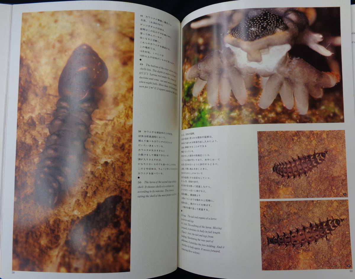 [ источник .. сырой . фотоальбом ] Kuribayashi ./ работа nature * книги 1979 год первая версия 