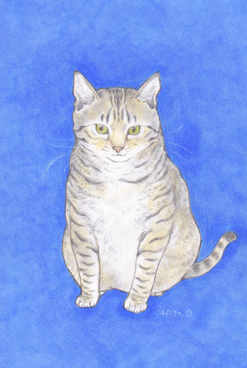 Una Hitomi 手描きイラスト キジトラ猫 猫 トラ猫 猫の絵 猫イラスト リアルタッチ 鉛筆画 アルコールマーカー 直筆 原画 パステル画 クレヨン画 売買されたオークション情報 Yahooの商品情報をアーカイブ公開 オークファン Aucfan Com