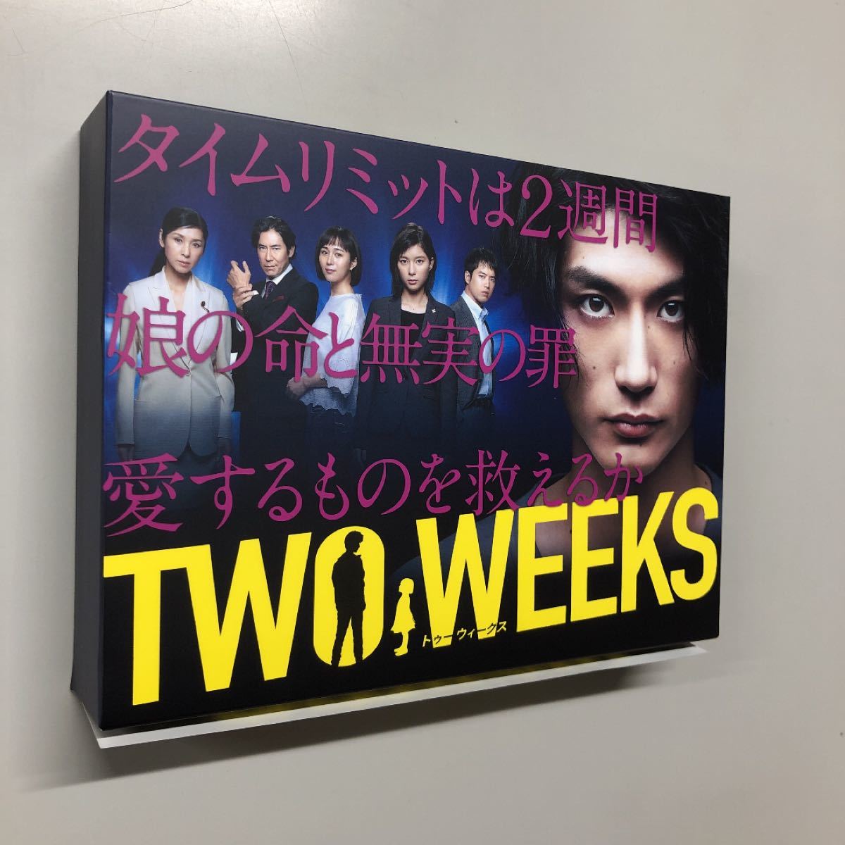 TWO WEEKS  DVD  BOX 【三浦春馬】