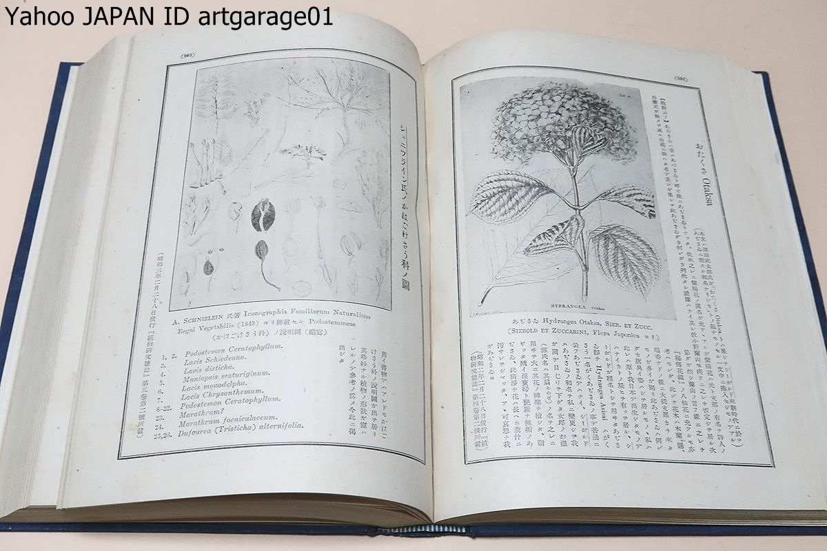  plant compilation opinion * plant classification research * Japan plant map opinion compilation * plant collected essays * total ..*.. plant . complete set of works 7 pcs. /... Taro /1500 kind and more. plant . life name did Japan plant .. .