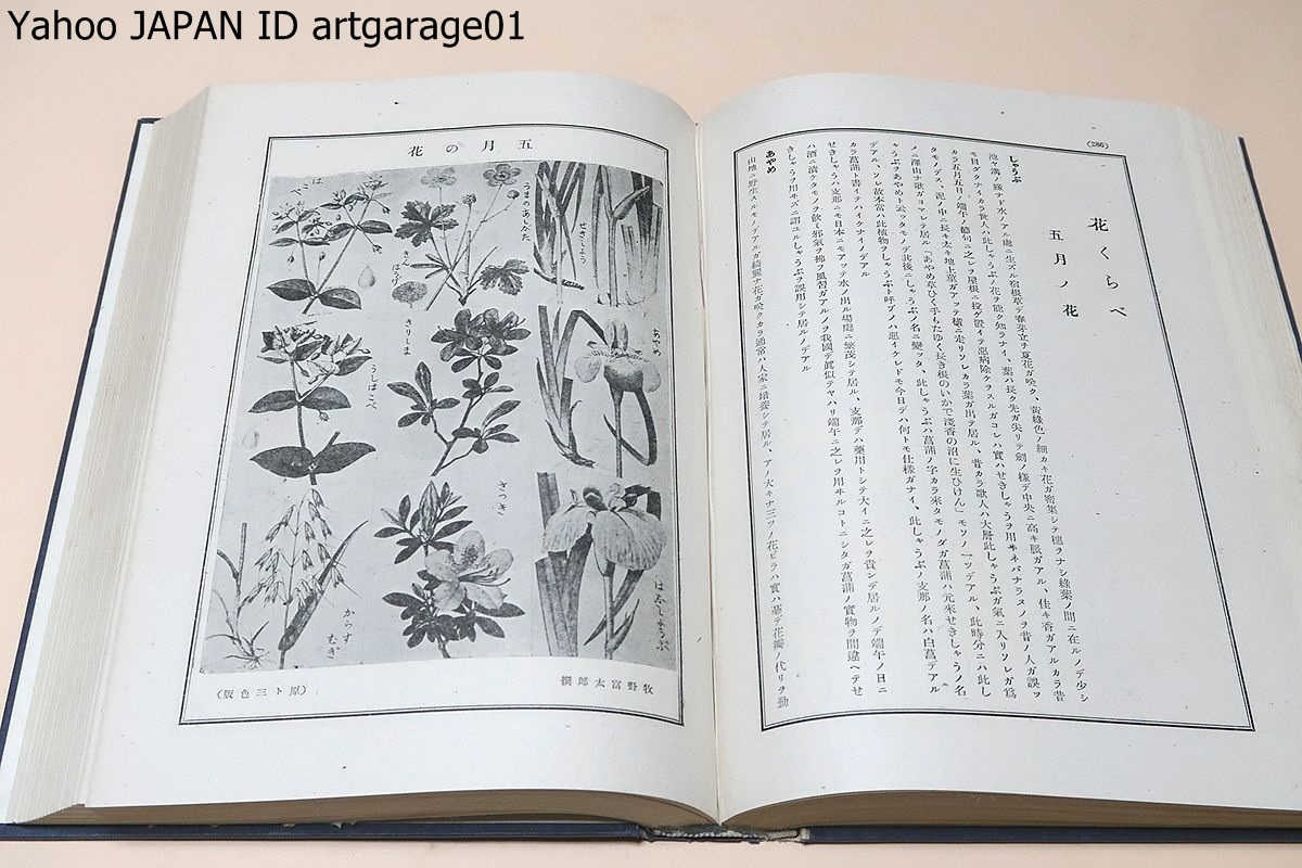  plant compilation opinion * plant classification research * Japan plant map opinion compilation * plant collected essays * total ..*.. plant . complete set of works 7 pcs. /... Taro /1500 kind and more. plant . life name did Japan plant .. .