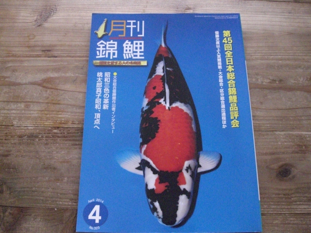 月刊錦鯉　2014年4月号　錦鯉　鯉　観賞魚　鱗光　Bcam