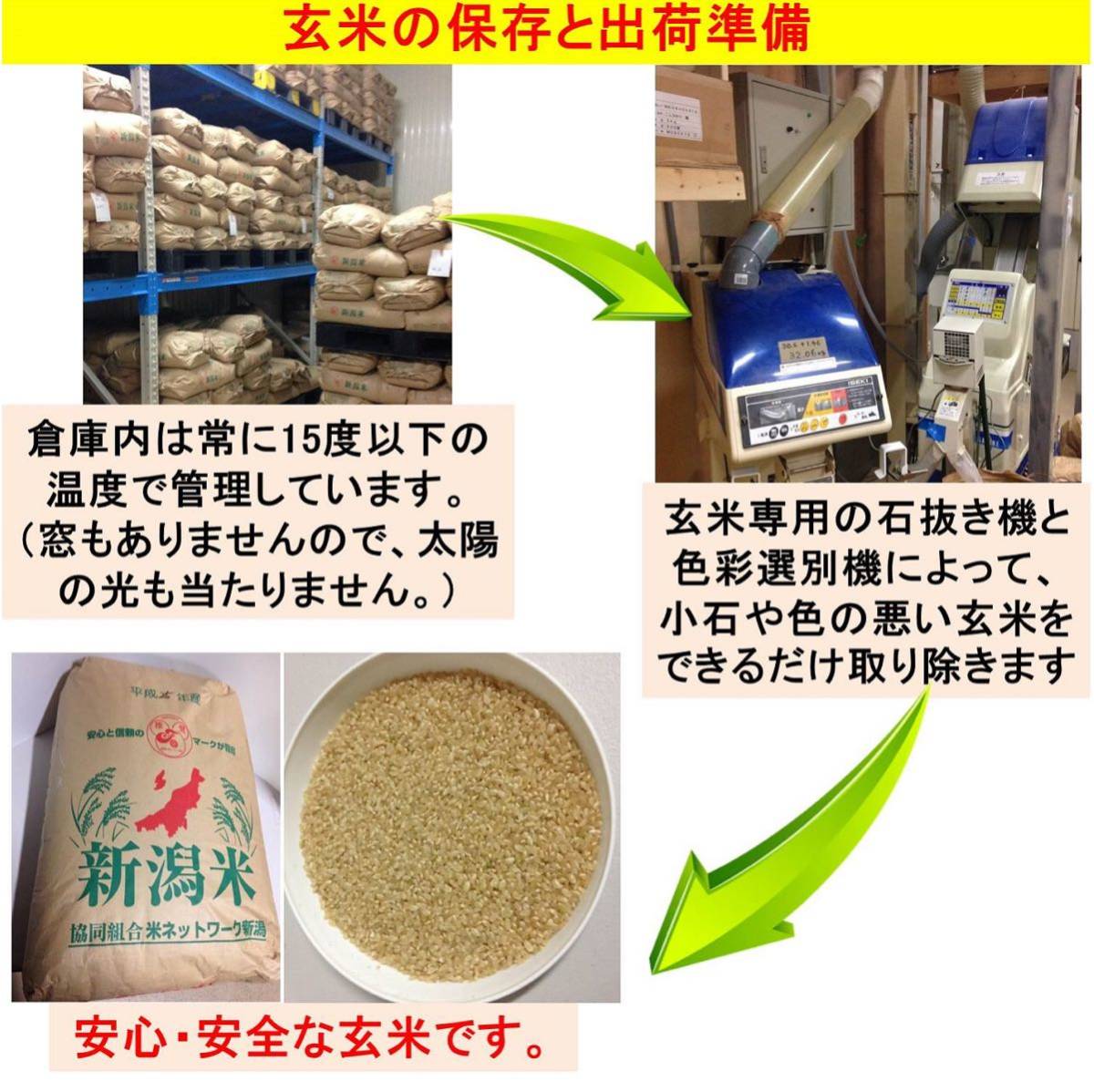 だんご粉900g 新潟県三条市しただ産　特別栽培米コシヒカリ50%+もち米50% グルテンフリー　送料無料_画像3