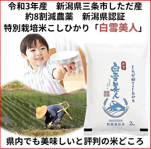 令和3年　新潟県三条市しただ産　減農薬認証特別栽培米コシヒカリ5kg 　白雪美人　グルテンフリー　送料無料_画像1