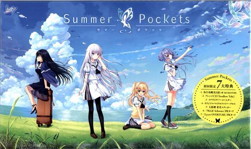 Summer Pockets первый раз ограниченая версия Key новый товар нераспечатанный производство конец быстрое решение * переговоры о снижении цены возможность summer poketsu складная дверь Shinji лен ветка .Na-Ga Izumi ...