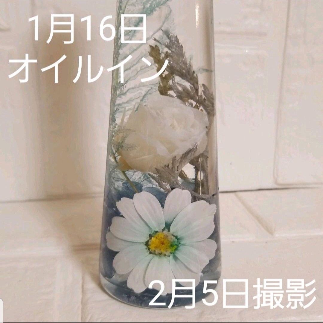 マーブルピンクローズ 加工 花材 プリザ ハーバリウム ボトルフラワー