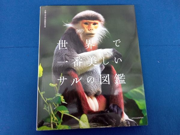 ヤフオク 世界で一番美しいサルの図鑑 京都大学霊長類研究所