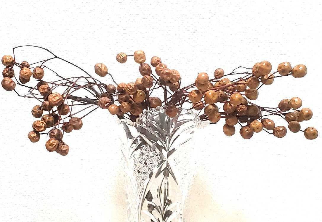 センダン 実付き枝 3本 ドライフラワー 木の実 スワッグ アンティーク ディスプレイ リース 売れ筋がひ 処分 インテリア