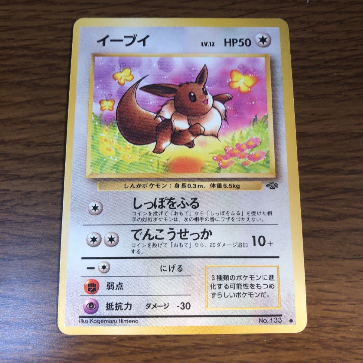 ポケモンカード 旧裏面 キラ イーブイ 進化セット シャワーズ サンダース ブースター