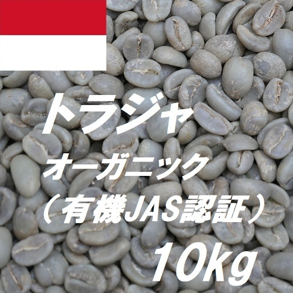 コーヒー生豆　トラジャ　オーガニック　有機JAS認証　10kｇ　送料無料　グリーンビーンズ_画像1