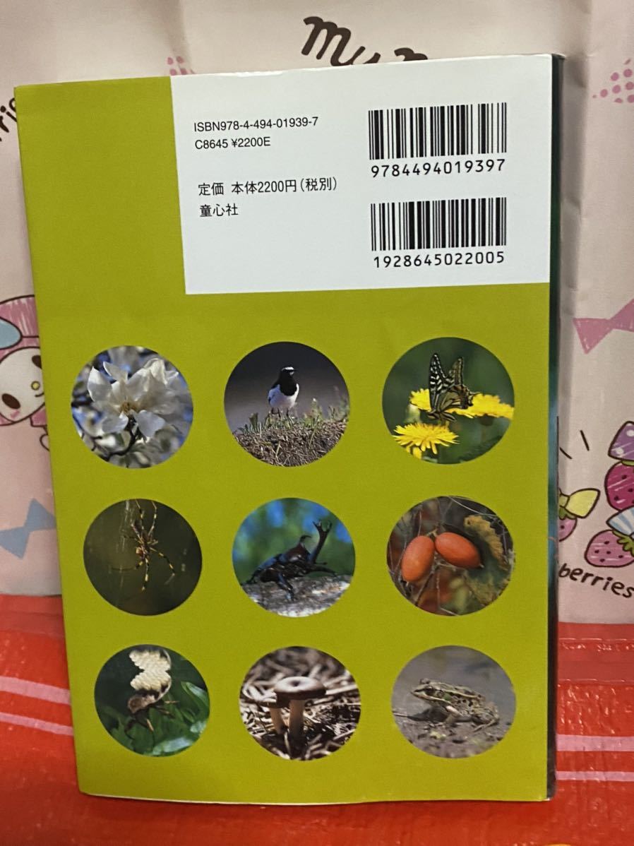 日本未発売 里山いきもの図鑑 今森光彦 童心社 カブトムシ クワガタ など Prxtecnologia Vipclinicmonique Com Br 日本未発売 里山いきもの図鑑 今森光彦 童心社 カブトムシ クワガタ など Prxtecnologia Vipclinicmonique Com Br