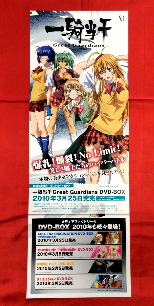 B2半裁サイズポスター 一騎当千 Great Guardians DVD-BOX 発売告知用 非売品 当時モノ 希少　B46_画像1