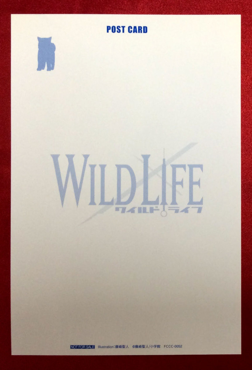 WILD LIFE ワイルド・ライフ 藤崎聖人 ポストカード 販促用 非売品 希少 　A437_画像2