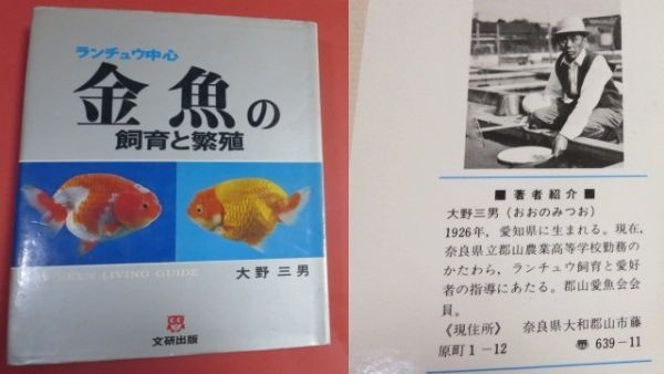 昭和当時物　ランチュウ中心　金魚の飼育と繁殖　文研出版　中古本1冊　説明文必読_画像1