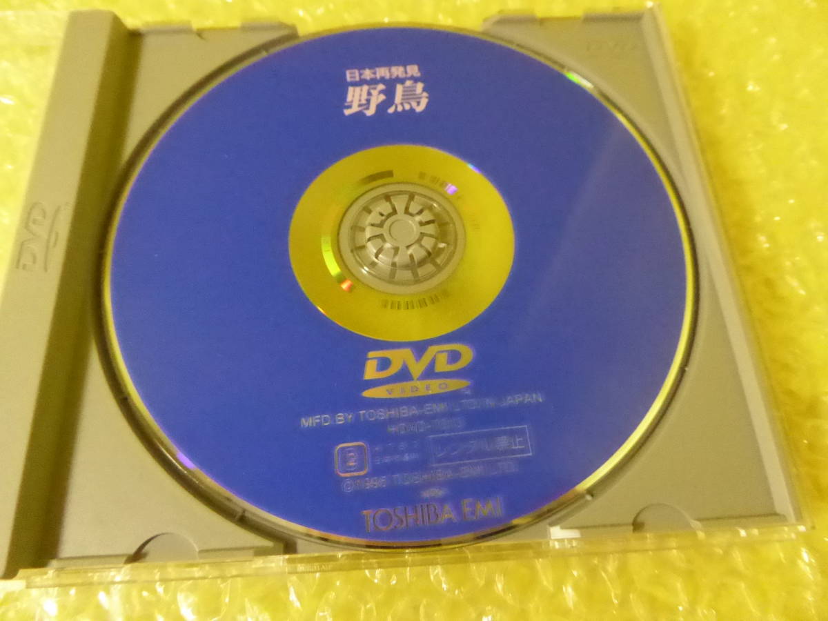 [m7372y d] Япония повторный обнаружение дикая птица 66 перо DVD