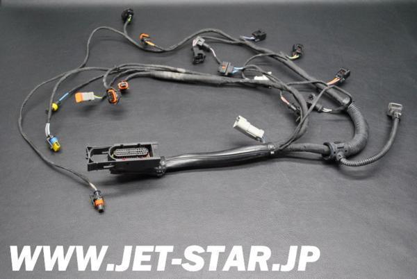 シードゥ GTX LTD 2005年モデル 純正 WIRING HARNESS ASS'Y シードゥ GTX LTD 2005年モデル 純正 WIRING HARNESS ASS'Y