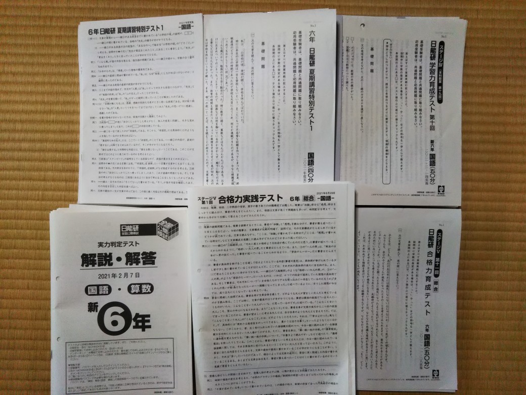 原本 最新 日能研 小6 6年 公開テスト 育成テスト 実践テスト 春期