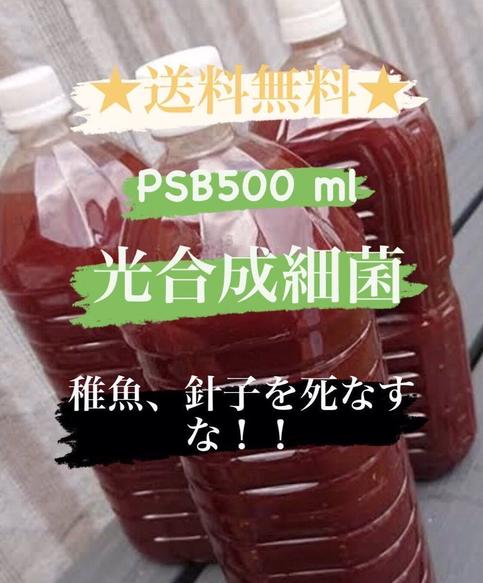 送料無料 超濃厚psb500ml光合成細菌 めだか メダカ ゾウリムシ ミジンコ 金魚 餌 エサ