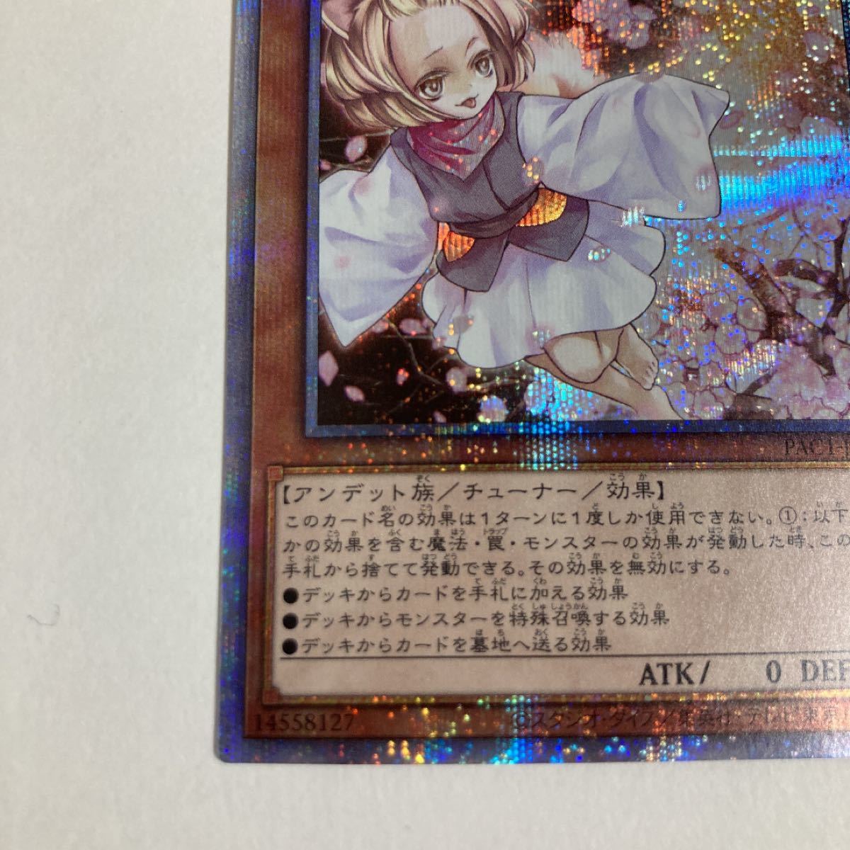 遊戯王 灰流うらら はるうらら プリズマ プリシク