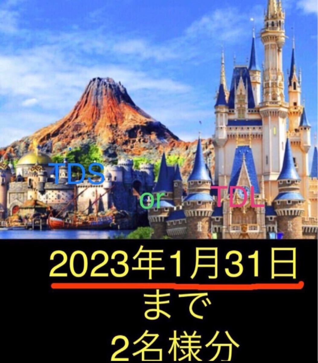 超目玉 ディズニーチケット未使用 お2人様分 23年1月まで その他イベント Www Comisariatolosandes Com