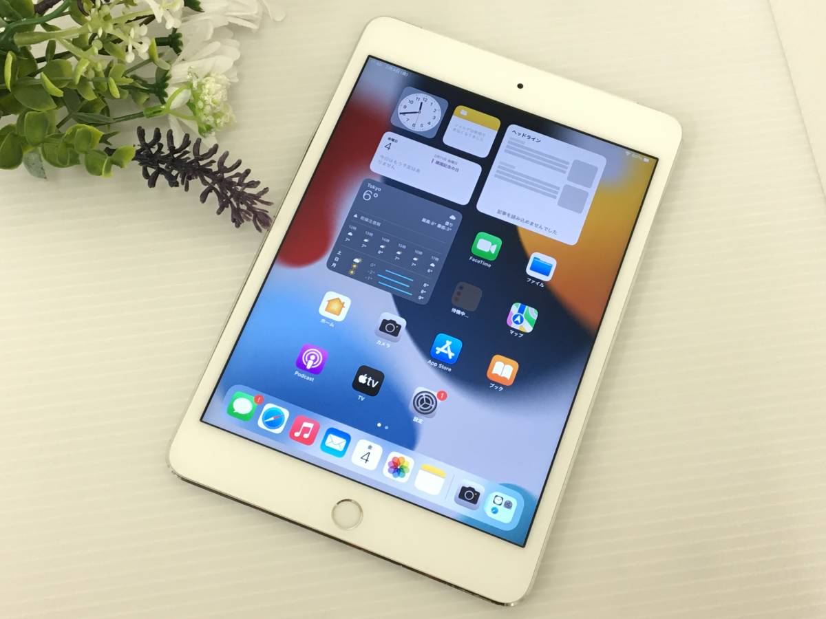 濃いピンク系統 iPad mini 4 7.9インチ 64GB Cellularモデル