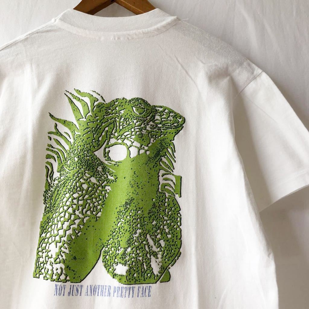 91年 92年 Patagonia IGUANA VERDA Tシャツ USA製 Hanes ビンテージ 
