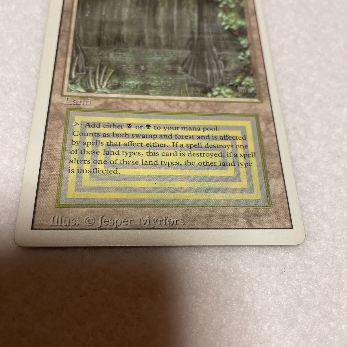 安価 MTG Bayou 英語版 fawe.org