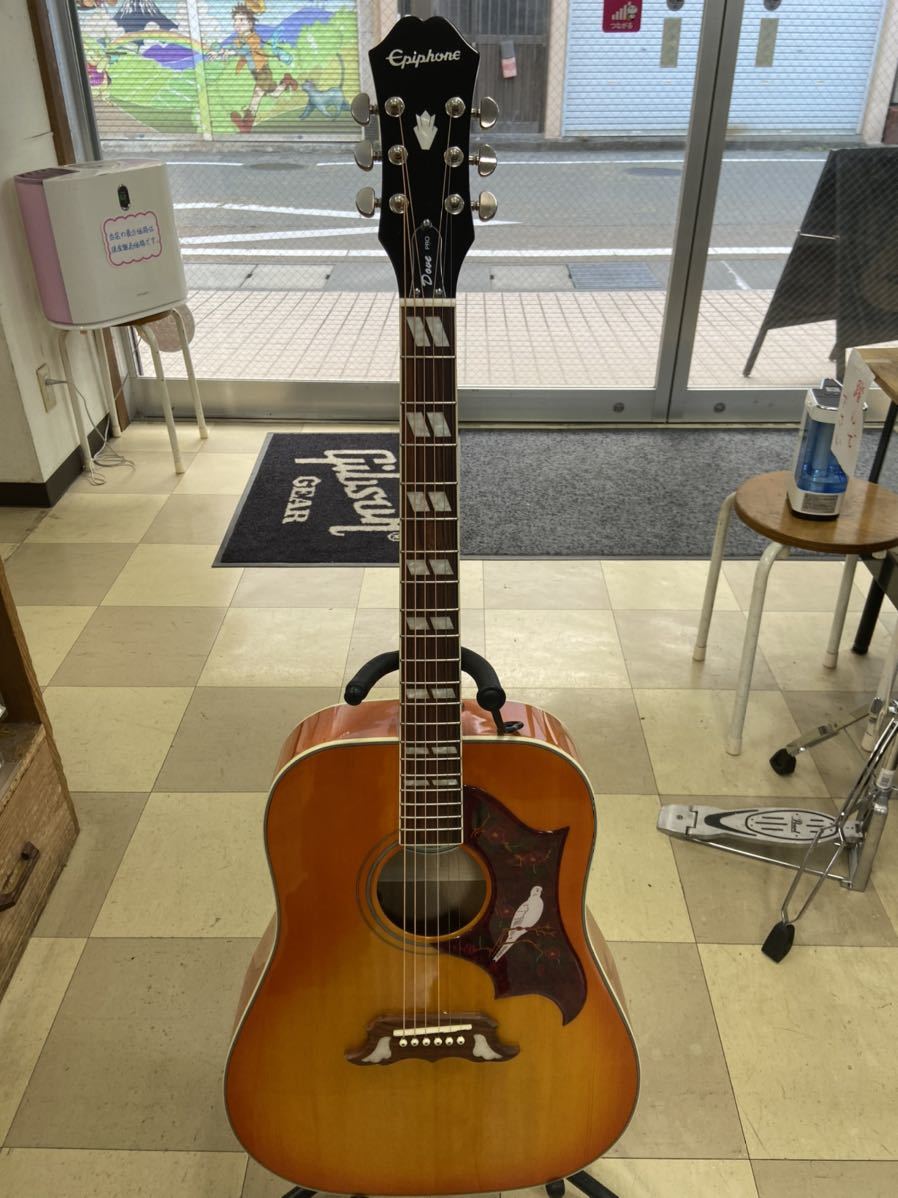 エピフォン Epiphone Dove Pro VB