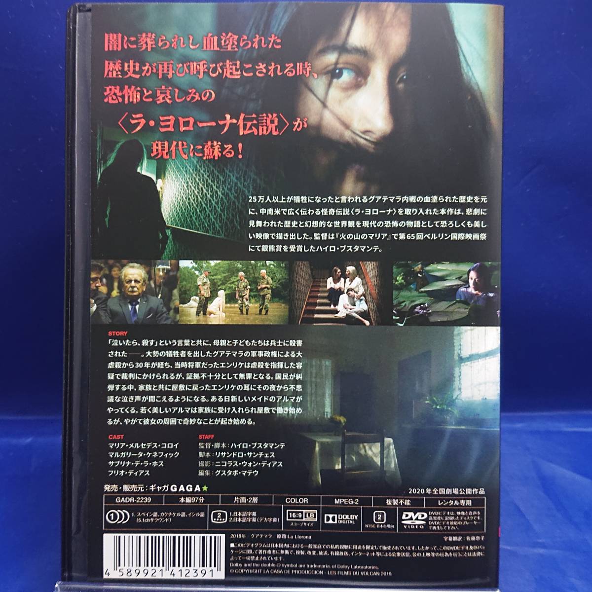 22y00139★ラ・ヨローナ～彷徨う女～　マリア・メルセデス・コロイ　レンタル落ちDVD★_画像2