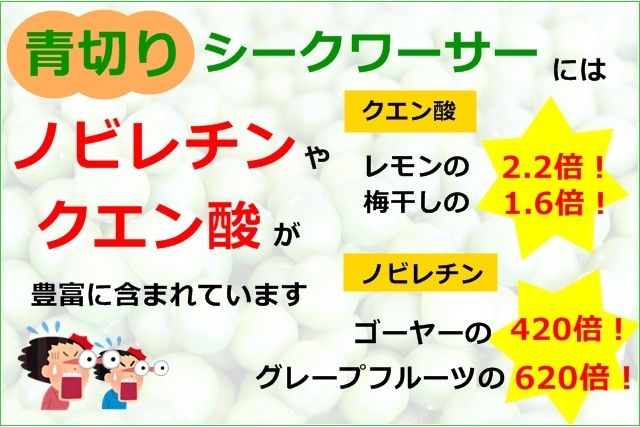 青切りシークヮーサー 500ml シークワサー生姜330ｇ 2本セット 原液 ストレート 大宜味村 果汁100％ ノビレチン ジンジャーエール_画像5